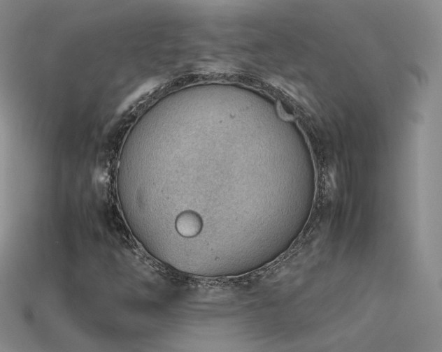 X0000115781254200911131240