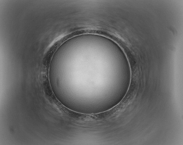 X0000115781255200911131240