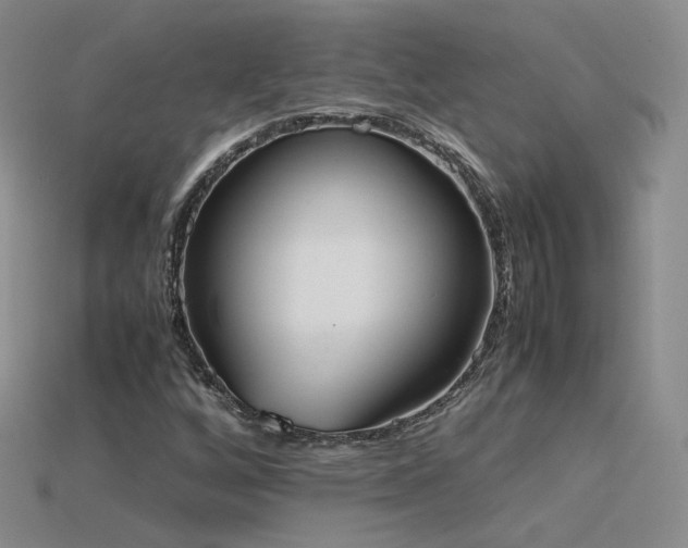 X0000115781256200911131240