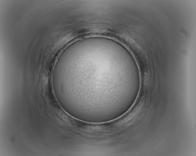X0000115781257200911131240