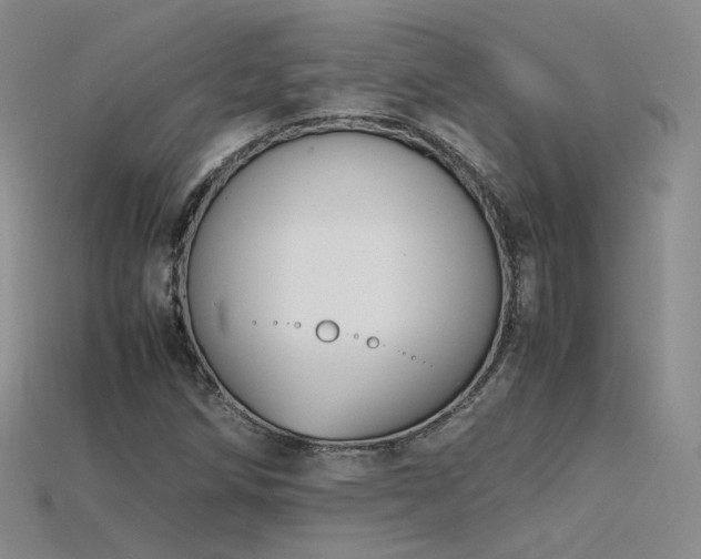 X0000115781258200911131240