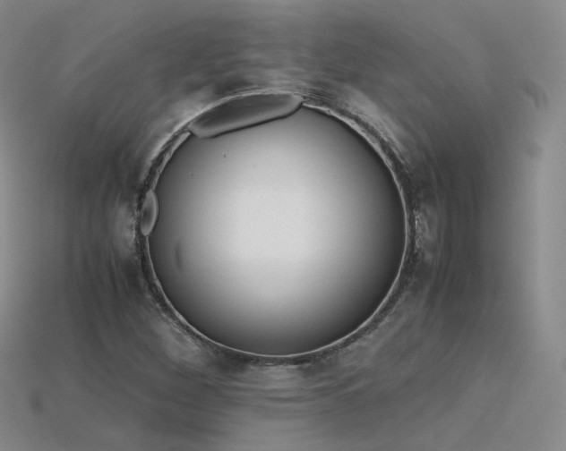 X0000115781260200911131240