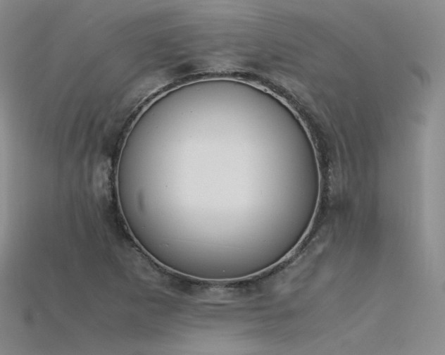 X0000115781265200911131240