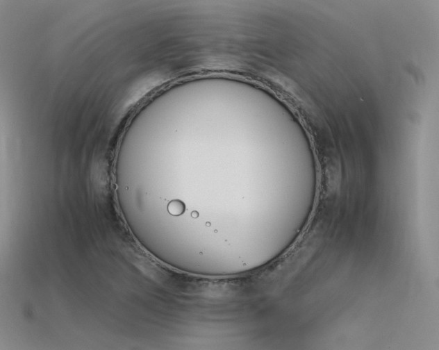 X0000115781266200911131240