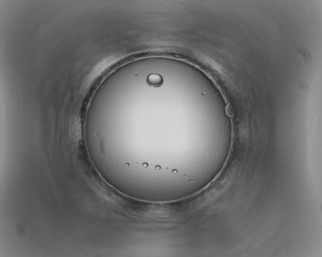 X0000115781267200911131240