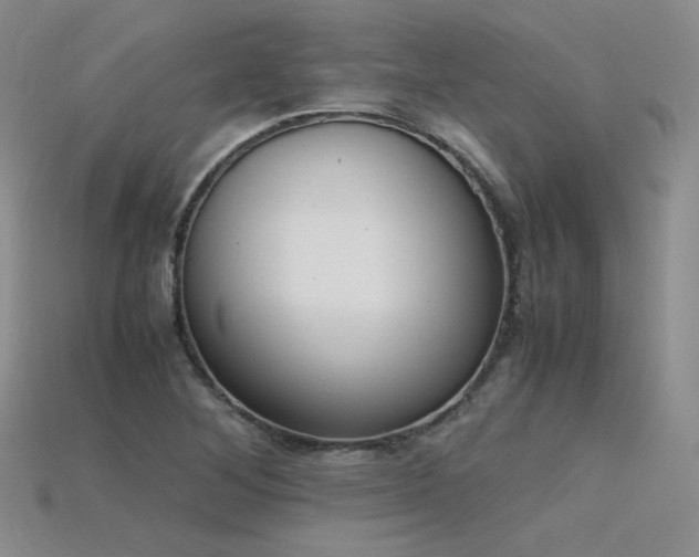 X0000115781268200911131240