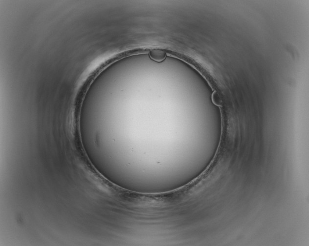X0000115781270200911131240