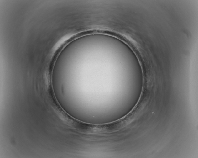 X0000115781271200911131240