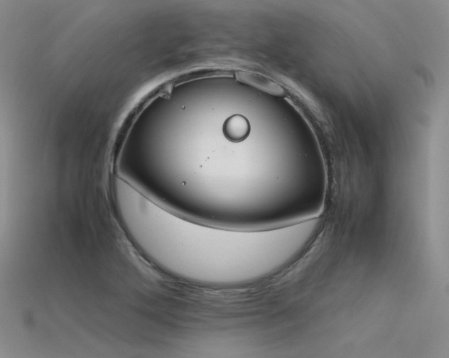 X0000115781272200911131240
