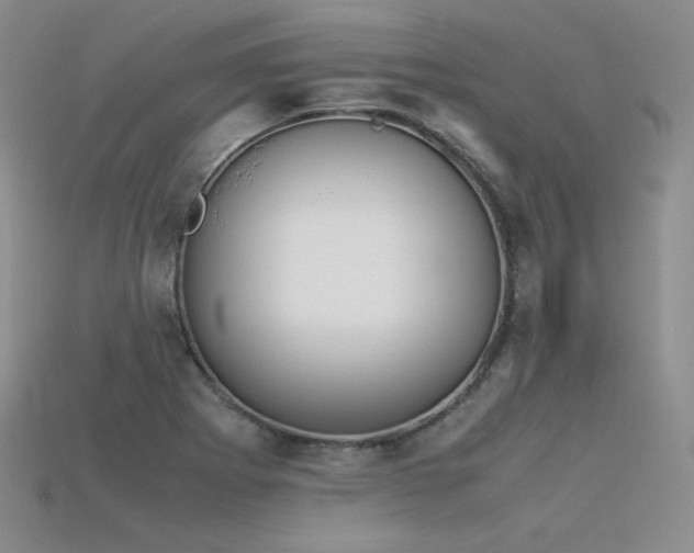 X0000115781273200911131240