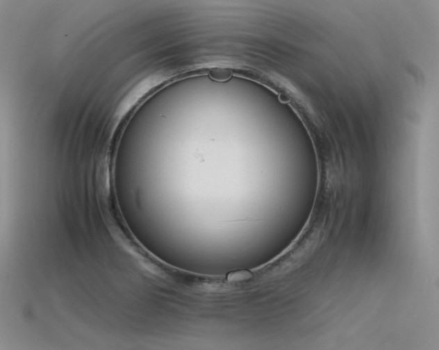 X0000115781274200911131240