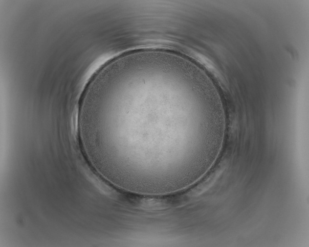 X0000115781275200911131240