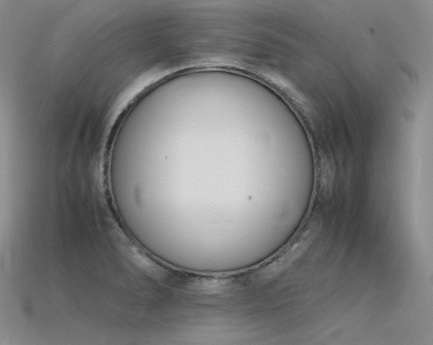 X0000115781278200911131240