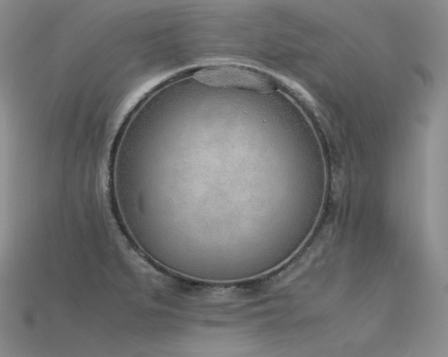 X0000115781279200911131240