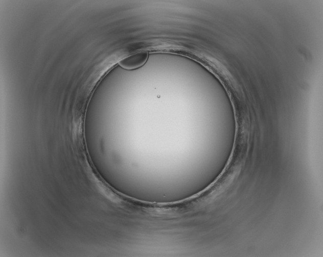 X0000115781281200911131240