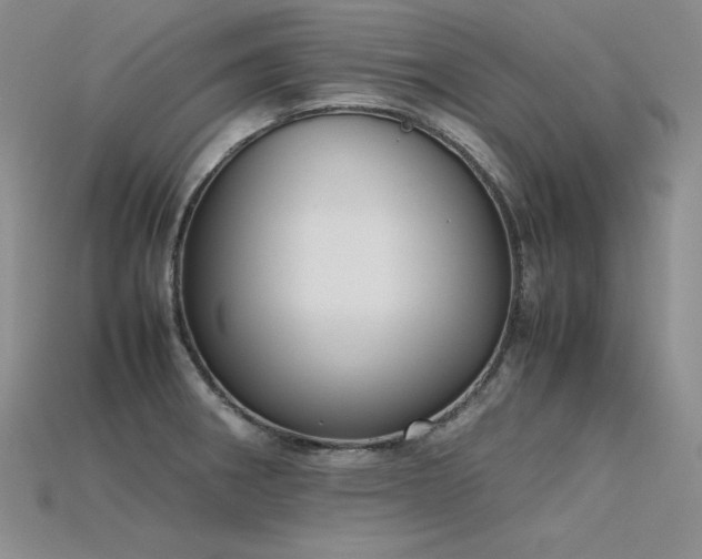 X0000115781282200911131240