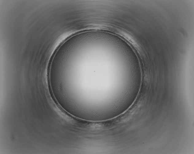 X0000115781283200911131240
