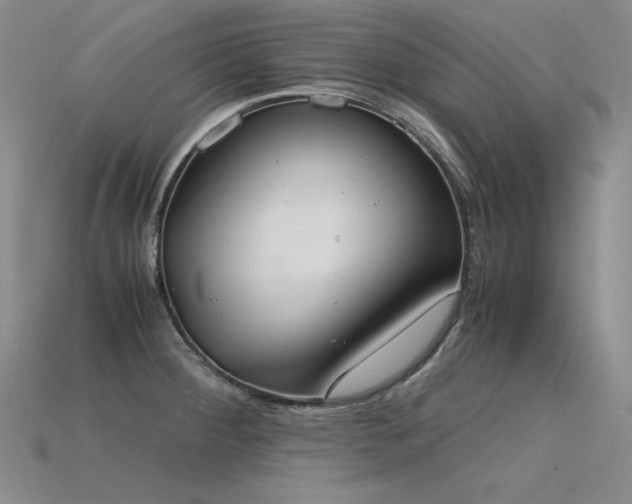 X0000115781284200911131239