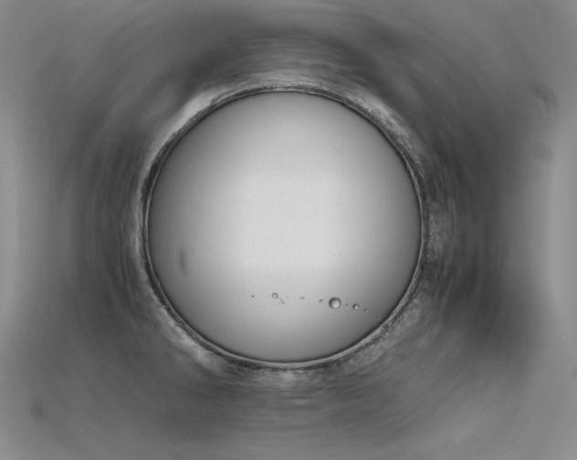 X0000115781286200911131239