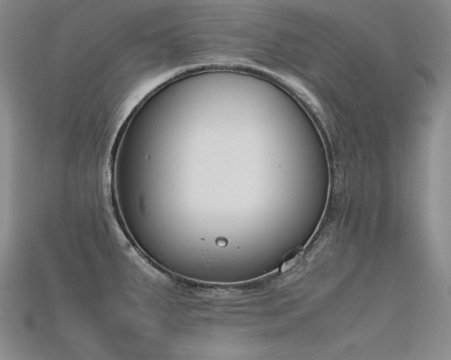 X0000115781287200911131239