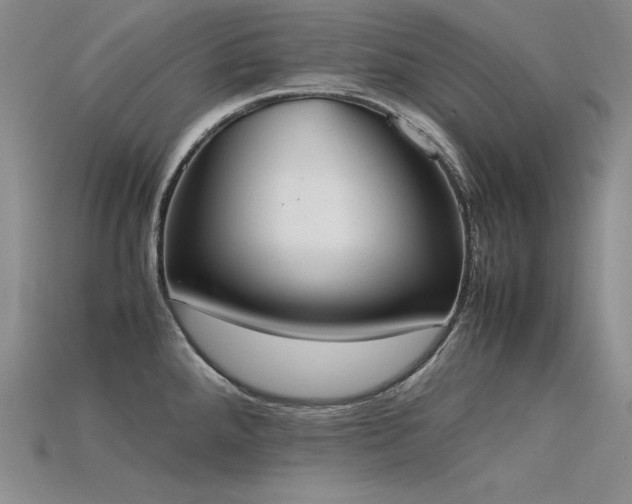 X0000115781288200911131239