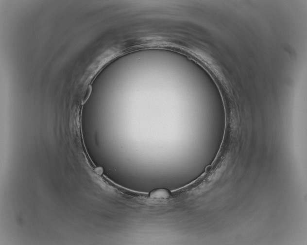 X0000115781289200911131239