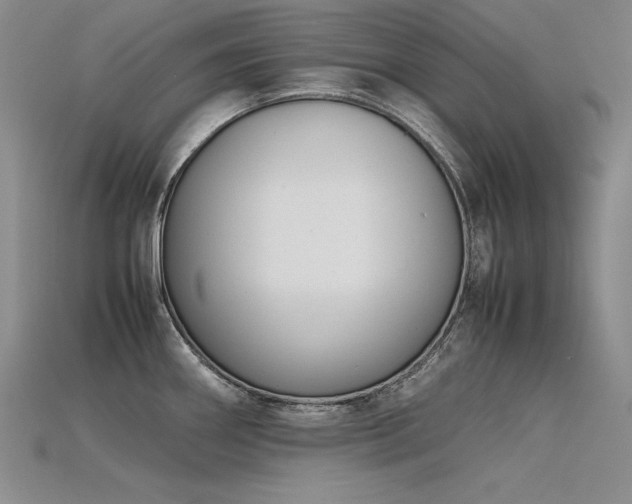 X0000115781290200911131239