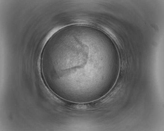 X0000115781291200911131239