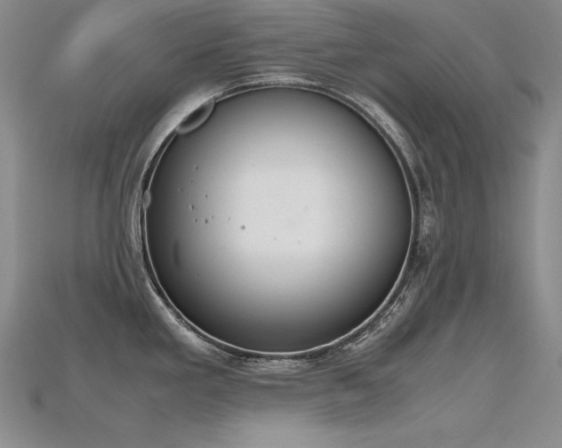 X0000115781293200911131239