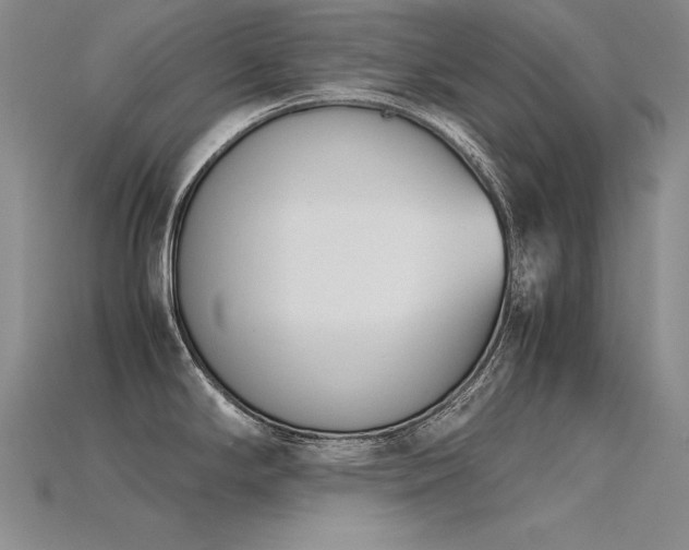 X0000115781294200911131239