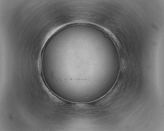 X0000115781295200911131239