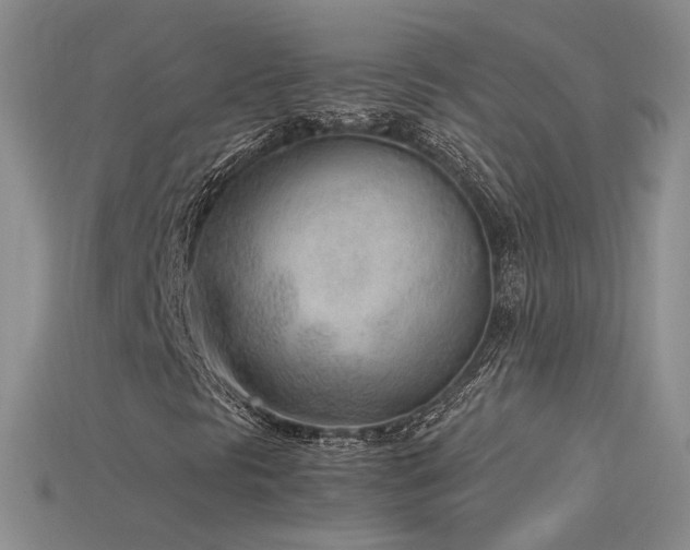 X0000115781297200911131239