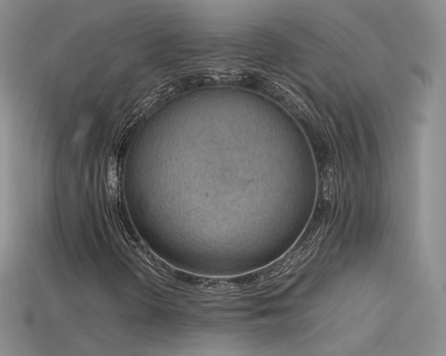 X0000115781298200911131239