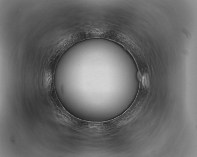 X0000115781299200911131239