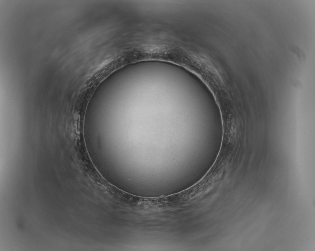 X0000115781301200911131239