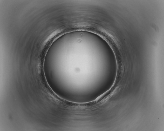 X0000115781306200911131239