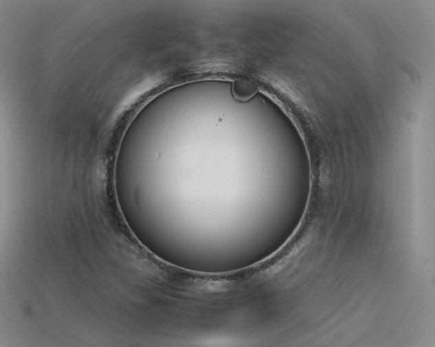 X0000115781309200911131239