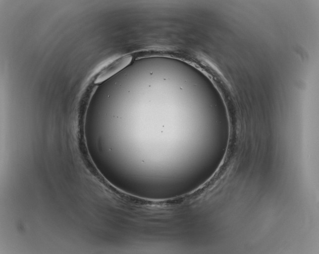 X0000115781315200911131239