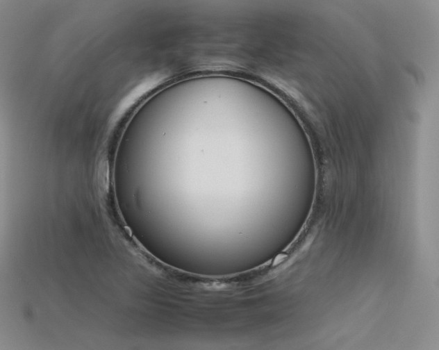 X0000115781317200911131239
