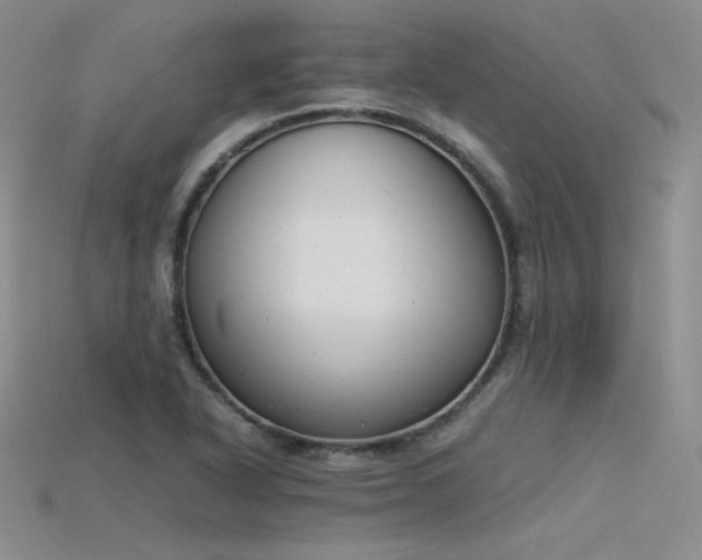 X0000115781318200911131239