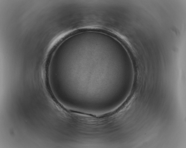 X0000115781319200911131239