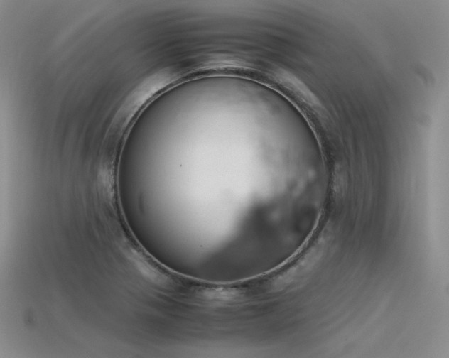 X0000115781321200911131239