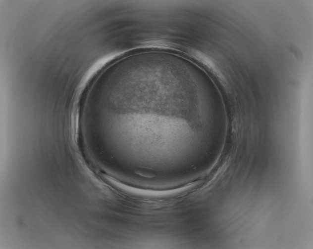 X0000115781323200911131239