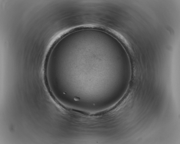 X0000115781327200911131239