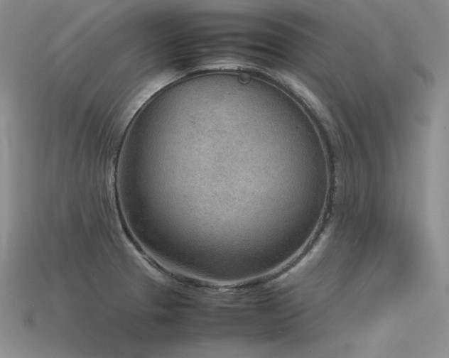 X0000115781329200911131239