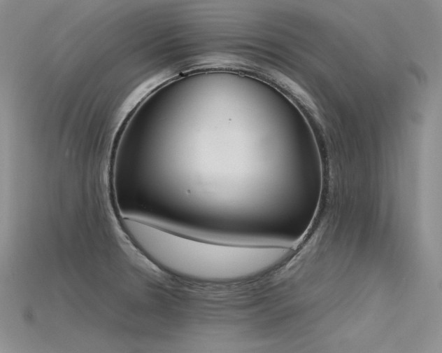 X0000115781330200911131239