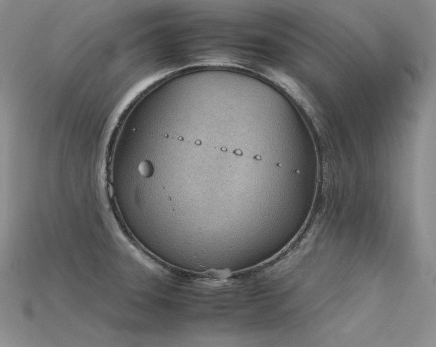 X0000115781331200911131239
