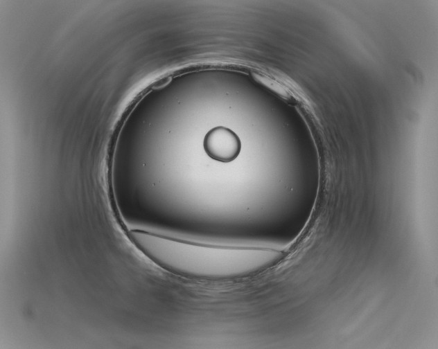 X0000115781334200911131239