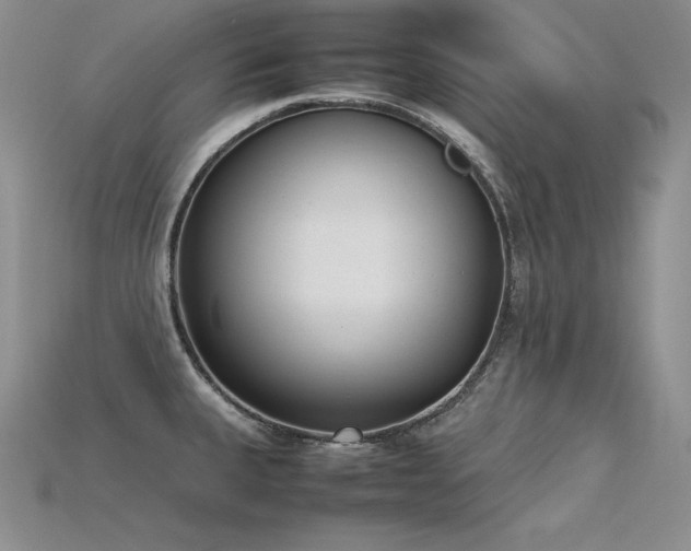 X0000115781335200911131239