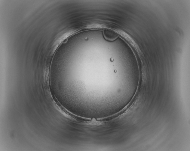 X0000115781337200911131239
